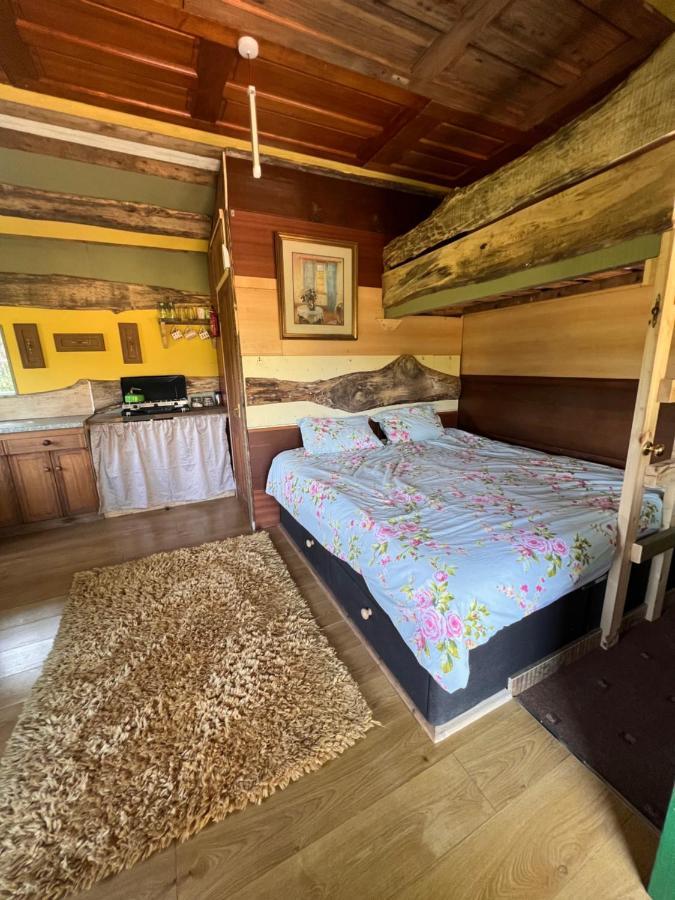 Foxglove Eco Lodge Llanelli Ngoại thất bức ảnh