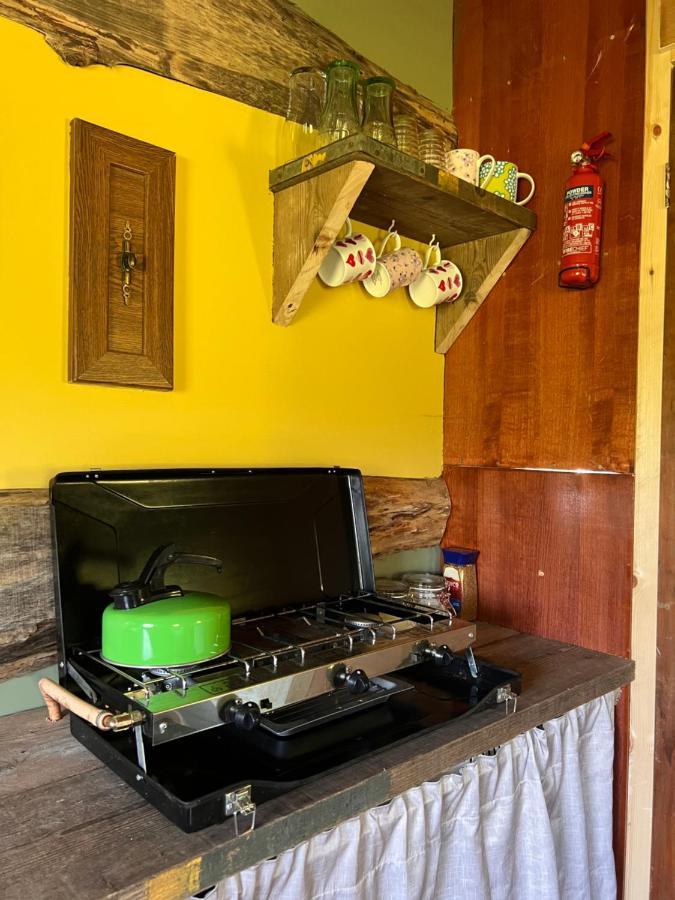 Foxglove Eco Lodge Llanelli Ngoại thất bức ảnh